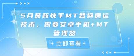 5月最新快手MT替换搬运技术,需要安卓手机+MT管理器-网赚副业网