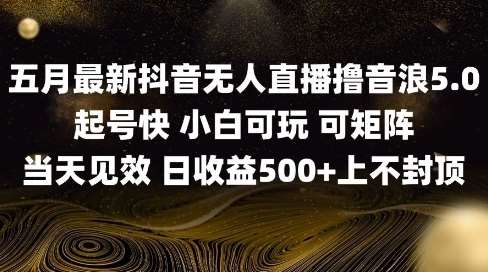 2025五月最新无人直播撸音浪单日产出5张+实操教程【揭秘】-网赚副业网