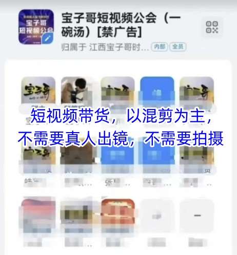 宝子哥头部团队短视频带货,以混剪为主,不需要真人出镜,不需要拍摄-网赚副业网