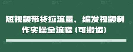 短视频带货拉流量,编发视频制作实操全流程(可搬运)-网赚副业网