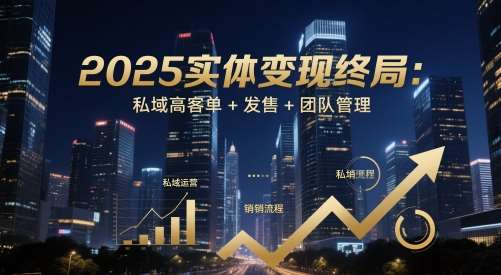 2025实体变现终局:私域高客单+发售+团队管理-网赚副业网