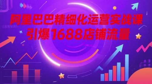 阿里巴巴精细化运营实战课,引爆1688店铺流量-网赚副业网