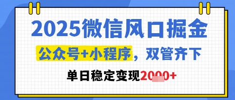2025微信风口掘金,公众号+小程序双管齐下,单日稳定变现1k+【揭秘】-网赚副业网