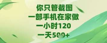 你只管截图，一部手机在家做，苹果安卓都可以，一天5张+【揭秘】-网赚副业网