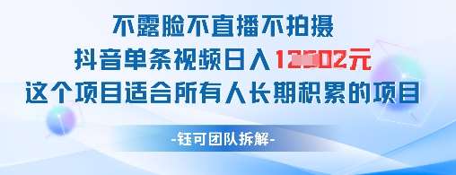 不露脸不直播不拍摄抖音单条视频日入1k+这个项目适合所有人长期积累的项目-网赚副业网