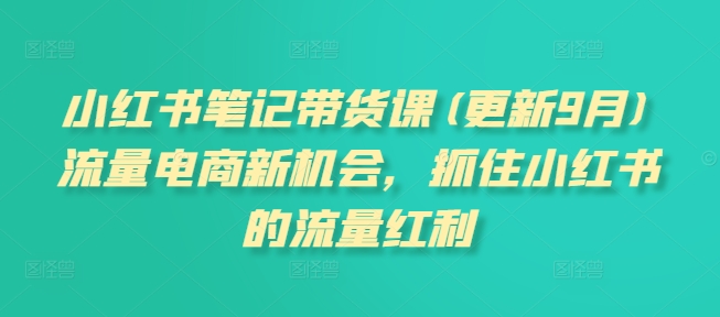 小红书笔记带货课(更新25年5月)流量电商新机会,抓住小红书的流量红利-网赚副业网