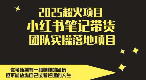 2025超火项目,副业最佳选择,小红书笔记带货团队实操落地项目,,轻松日入5张-网赚副业网