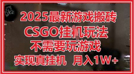 2025最新游戏搬砖,CSGO挂G,不需要玩游戏,实现真挂G,月入1W+【揭秘】-网赚副业网