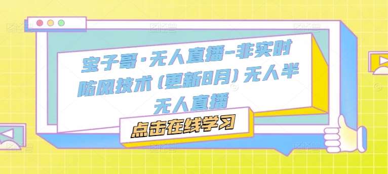 宝子哥·无人直播-非实时防风技术(更新25年5月)无人半无人直播-网赚副业网