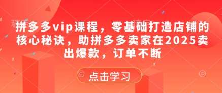 拼多多vip课程,零基础打造店铺的核心秘诀,助拼多多卖家在2025卖出爆款,订单不断-网赚副业网