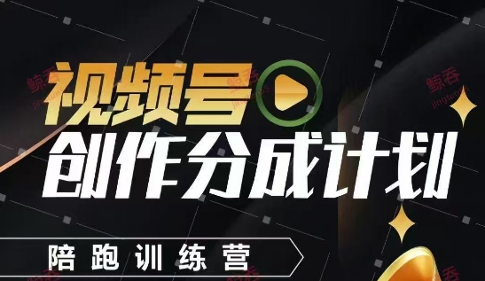 视频号创作分成计划陪跑训练营，手把手教会你如何制作视频，细水长流型项目-网赚副业网