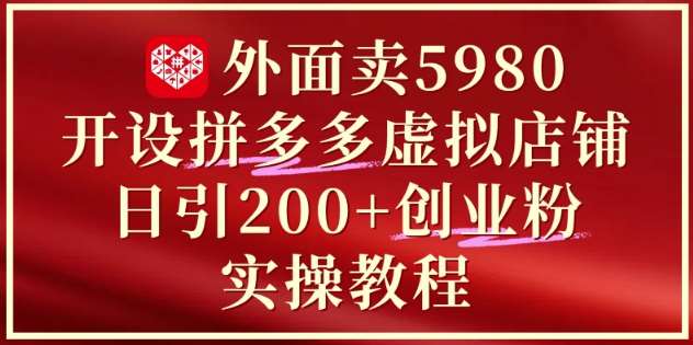 外面卖5980开设拼多多虚拟店铺:单日引流200+创业付费粉实战教程-网赚副业网