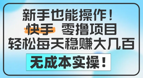 新手也能操作,快手零撸挣米,轻松每天挣2-5张,完全无成本-网赚副业网