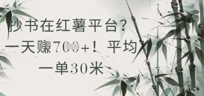 抄书在小红薯平台?平均一单30米,一天收益几张!-网赚副业网