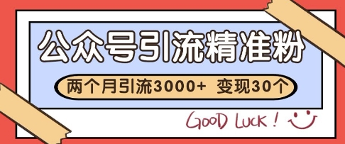 公众号精准粉引流玩法,2个月3000+精准粉,变现30个W【揭秘】-网赚副业网