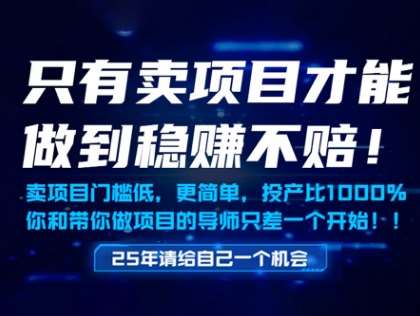 只有卖项目才能做到稳挣不赔,门槛低,更简单,你也可以年入百个W【揭秘】-网赚副业网