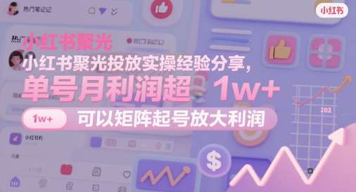 小红书聚光投放实操经验分享,单号月利润超1w+,可以矩阵起号放大利润-网赚副业网