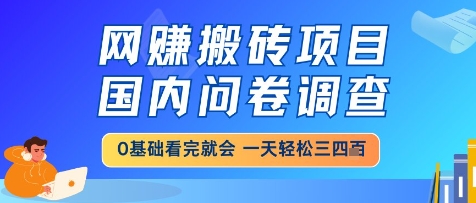 网创搬砖项目,国内问卷调查,小白轻松上手,一天三四张的也不难,干就完了【揭秘】-网赚副业网