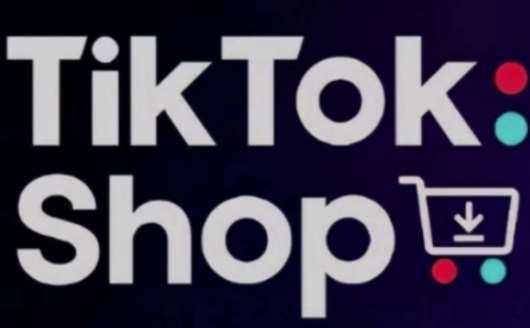 TikTokShop跨境电商0-1实战,手把手教你低成本启动海外市场(更新)-网赚副业网