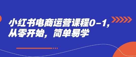 小红书电商运营课程0-1,从零开始,简单易学-网赚副业网