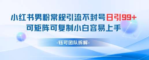 小红书男粉常规引流不封号日引99+变现简单 可矩阵可复制小白容易上手-网赚副业网