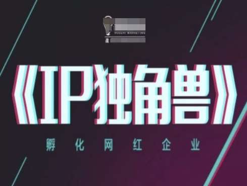 IP独角兽,孵化网红企业,ip教程-网赚副业网