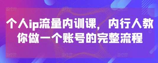 个人ip流量内训课,内行人教你做一个账号的完整流程-网赚副业网