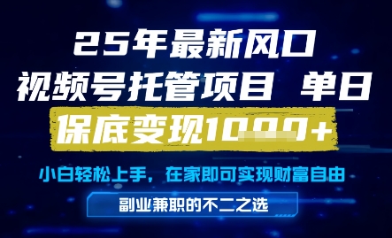 25年最新风口,视频号托管项目,单日保底变现1k+,手把手教学【揭秘】-网赚副业网