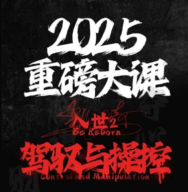 2025重磅大课，入世2，驾驭与控制-网赚副业网
