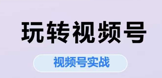 玩转视频号，视频号实战系列课-网赚副业网