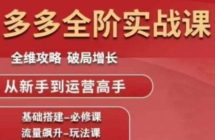 拼多多全阶实战课程,全维攻略,破局增长,从新手到运营高手-网赚副业网