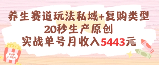 养生赛道玩法私域+复购类型,20秒生产原创实战单号月收入5k+-网赚副业网