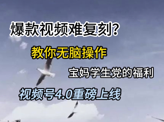 视频号4.0重磅上线，爆款视频难复刻？教你无脑操作宝妈学生党的福利【揭秘】-网赚副业网