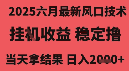 2025六月最新风口技术,无人挂G撸礼物,长期稳定 一个小时收益2k+,小白当天拿结果【揭秘】-网赚副业网