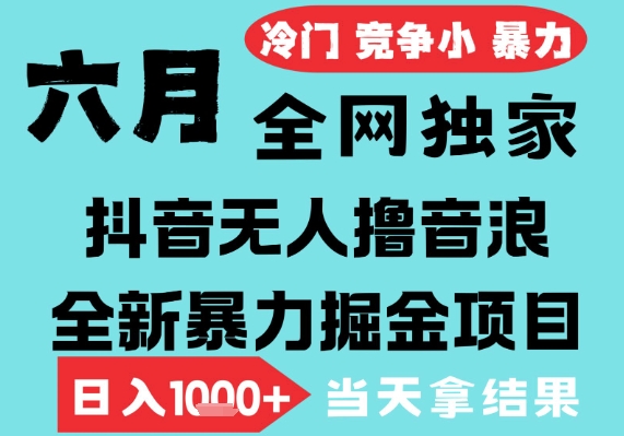 2025年6月高爆抖音无人直播最新撸音浪掘金项目,无脑日入1k+,低门槛小白可做,可矩阵放大【揭秘】-网赚副业网