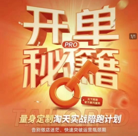 淘宝开单秘籍PRO,量身定制淘天实战陪跑计划,告别做店迷茫、快速突破运营瓶颈期(更新6月)-网赚副业网