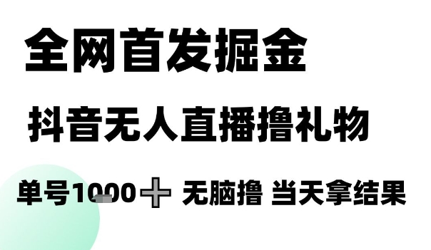 全网首发掘金抖音无人直播撸礼物,单号1k +无脑撸,当天拿结果【揭秘】-网赚副业网