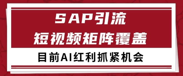 小红书某音sap赛道引流获客 自热矩阵日引200+【揭秘】-网赚副业网