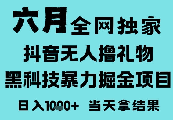25年6月高爆抖音无人直播最新撸音浪掘金项目,门槛低小白可做,无脑日入1k,可矩阵放大【揭秘】-网赚副业网