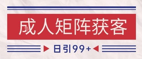 小红书某音橙人赛道引流获客，自热矩阵日引200+【揭秘】-网赚副业网