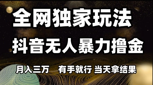 全网独家玩法抖音无人暴力撸金,月入3W,有手就行,当天拿结果【揭秘】-网赚副业网