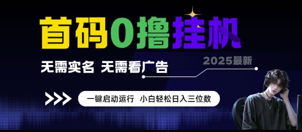 首码0撸挂G项目,无需实名无需看广告 一键启动运行,小白轻松日入三位数【揭秘】-网赚副业网