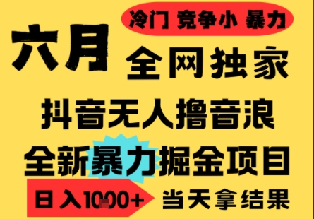 25年6月高爆抖音无人直播最新撸音浪掘金项目,小白可做,无脑日入1k+,门槛低可批量矩阵【揭秘】-网赚副业网