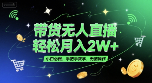 带货无人直播,轻松月入2W+,小白必做,手把手教学,无脑操作(附学习资料)-网赚副业网