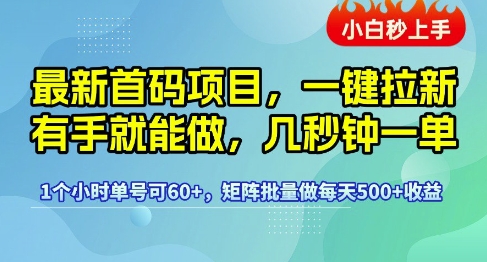 最新首码项目,一键拉新有手就能做,几秒钟一单,1个小时单号可60+,矩阵批量做每天5张【揭秘】-网赚副业网