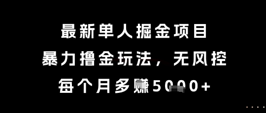最新单人掘金项目,暴力撸金玩法,无风控,每个月多挣5k+【揭秘】-网赚副业网