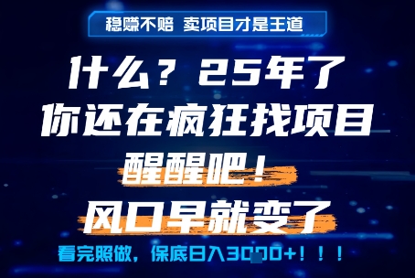 什么?25年你还在疯狂找项目做,醒醒吧,看完这些你全都懂了!【揭秘】-网赚副业网