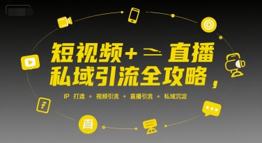短视频+直播私域引流全攻略,IP打造 +视频引流 +直播引流 +私域沉淀-网赚副业网