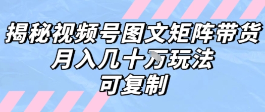解密视频号图文矩阵带货,月入几个W的打法,可复制-网赚副业网