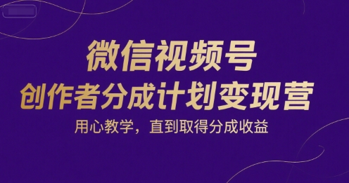 微信视频号创作者分成计划变现营,用心教学,直到取得分成收益-网赚副业网